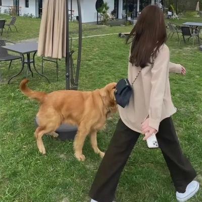 八彩林亚珍粤语 在线观看