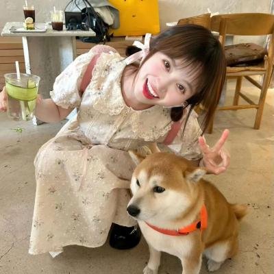 狩猎狗(电影)